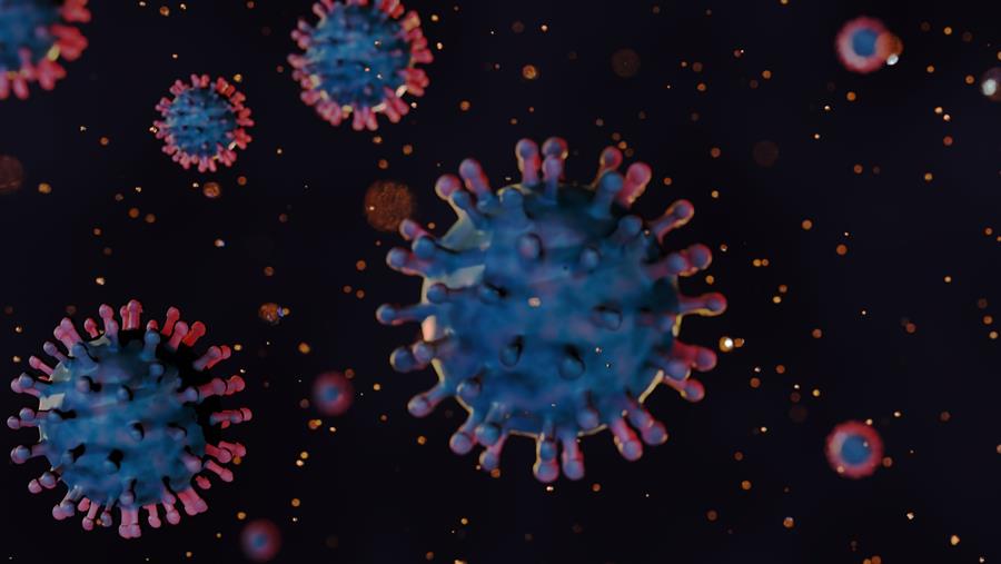 Une infection au virus du chikungunya en France